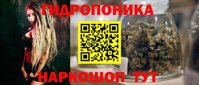 ГАЛЛЮЦИНОГЕННЫЕ ГРИБЫ Тара