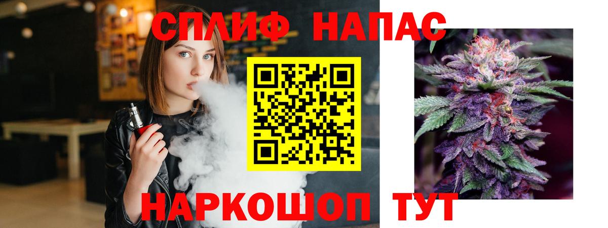 A PVP Бийск